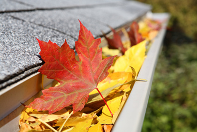 gutter cleaning