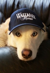 Wallmarks new team mascot
