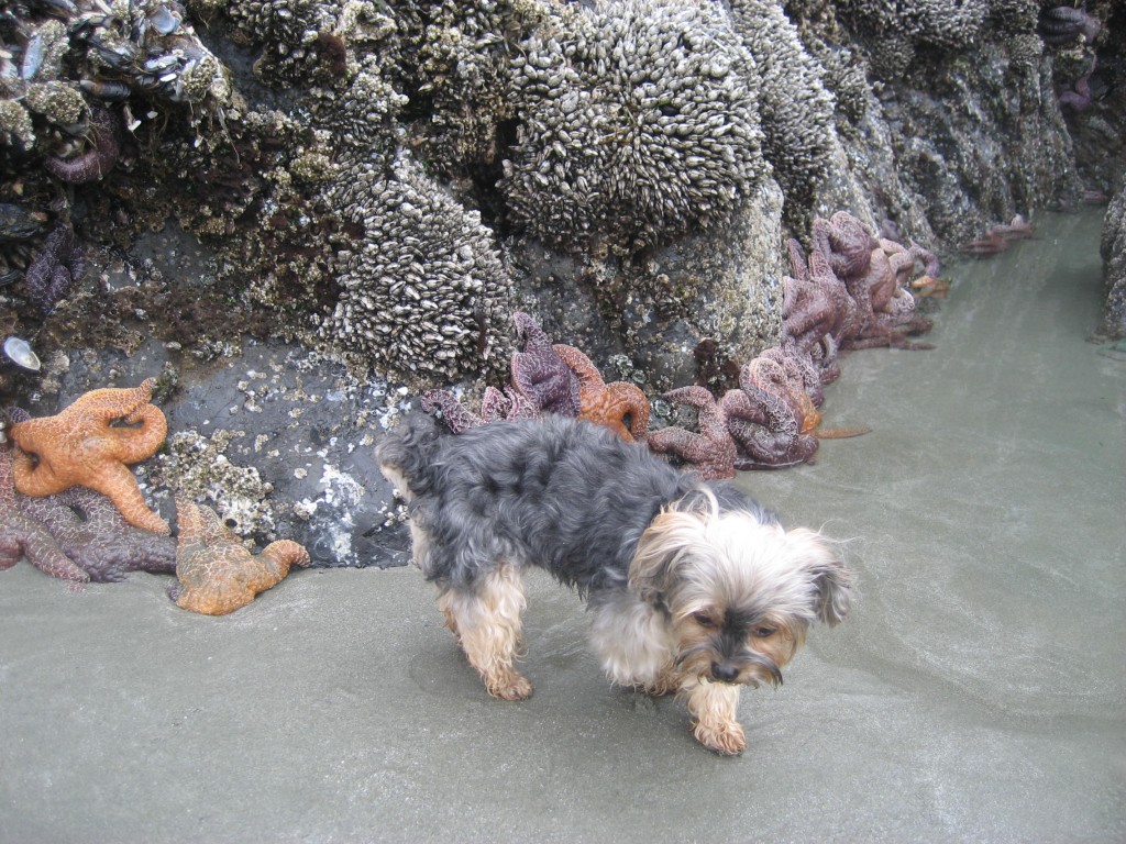 Mina on the beach